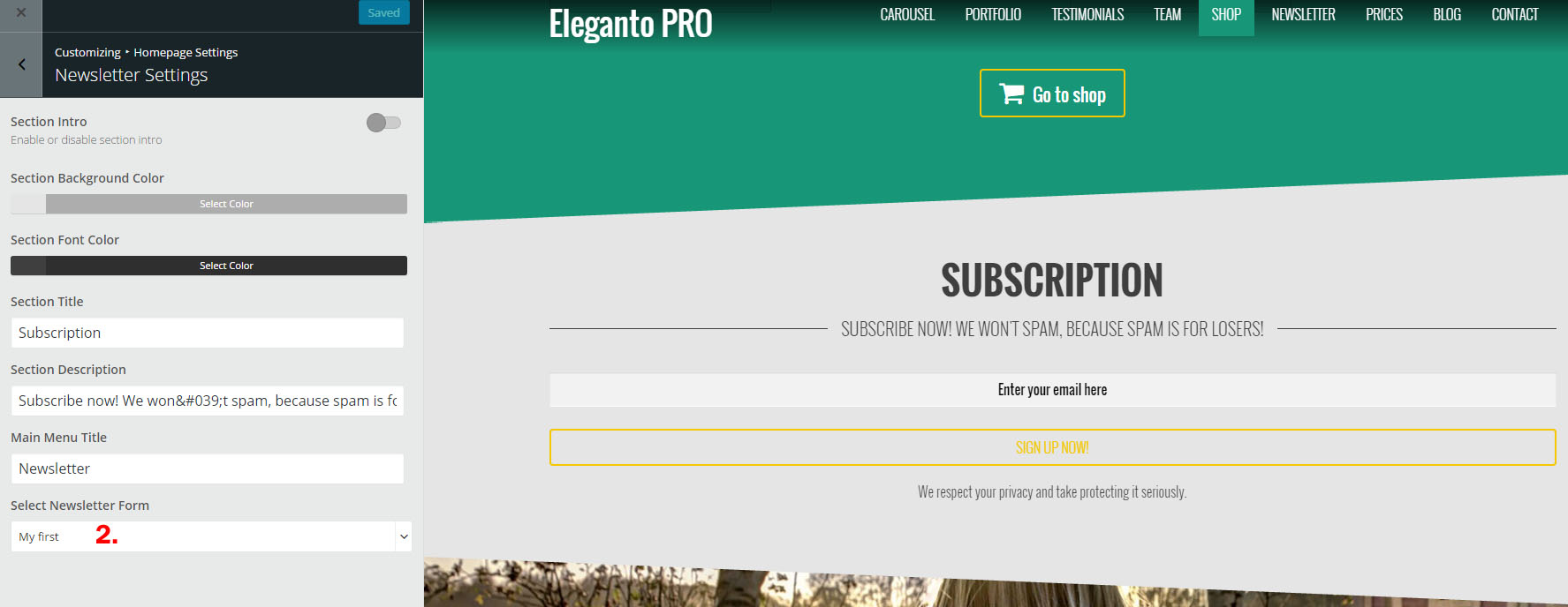 eleganto-homepage-newsletter-setup